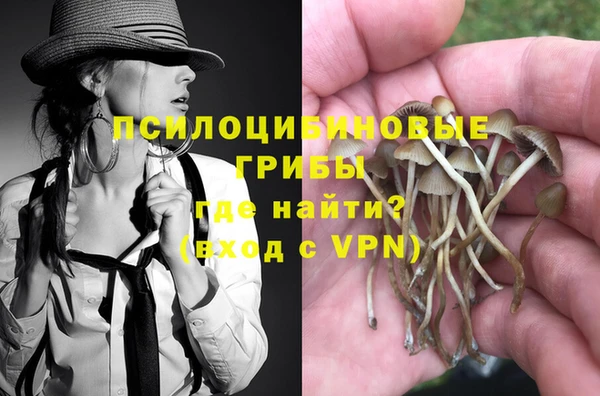 эйфоретик Абинск
