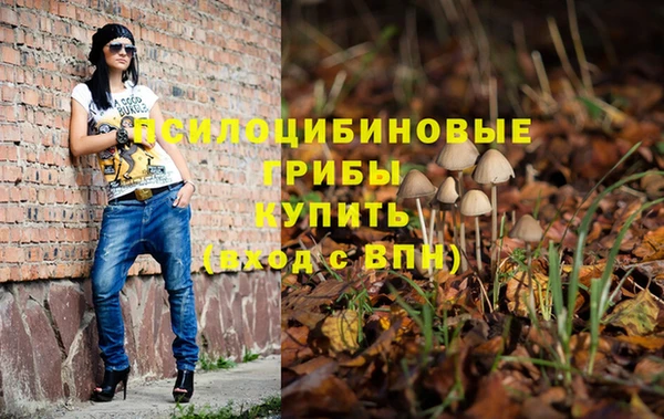 ECSTASY Алзамай
