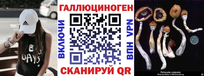 Псилоцибиновые грибы GOLDEN TEACHER  где купить наркоту  mega tor  Сокол 
