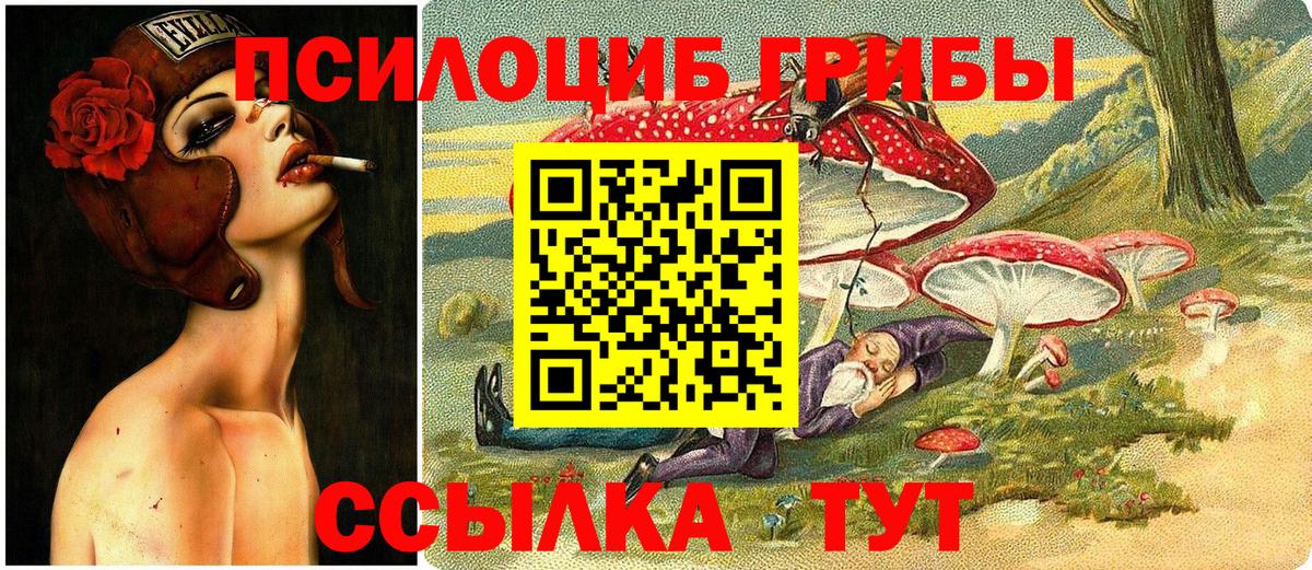 Галлюциногенные грибы мицелий  Вход с VPN  Сокол  Псилоцибиновые грибы MAGIC MUSHROOMS 